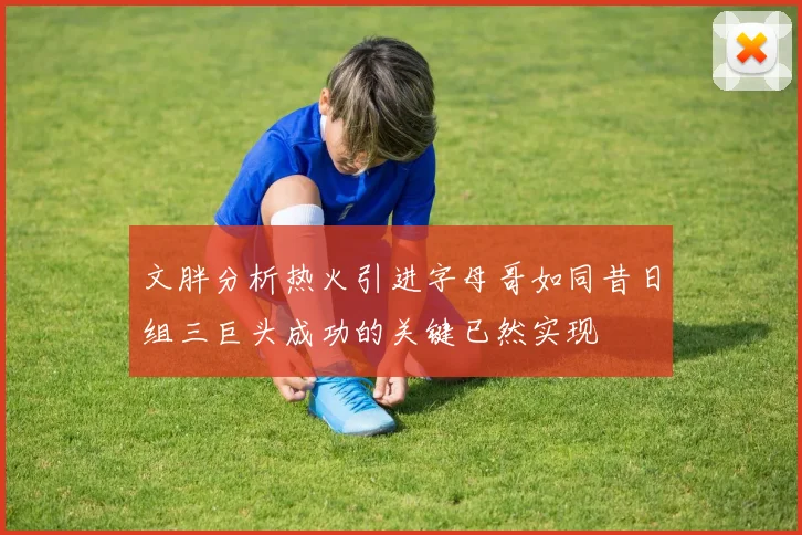文胖分析热火引进字母哥如同昔日组三巨头成功的关键已然实现
