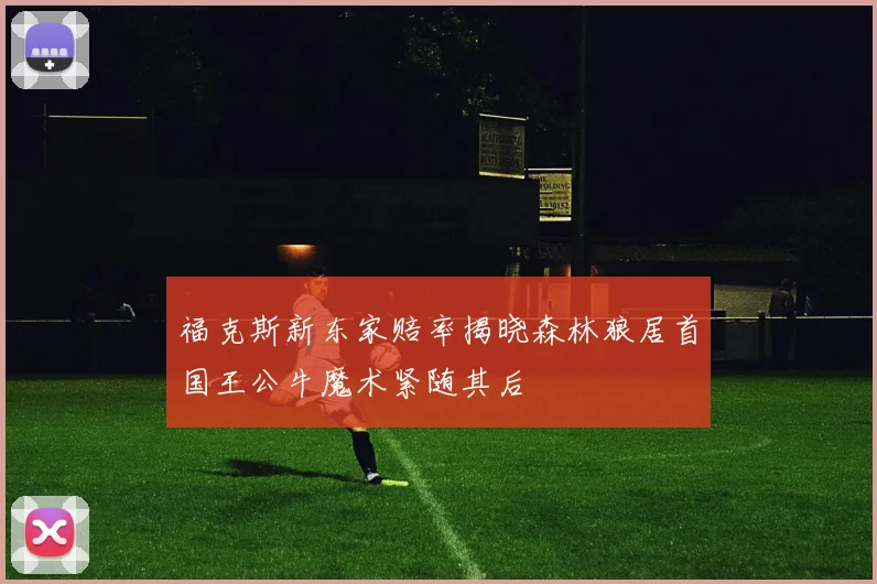 福克斯新东家赔率揭晓森林狼居首国王公牛魔术紧随其后