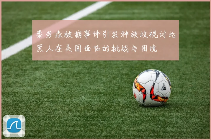 泰劳森被捕事件引发种族歧视讨论黑人在美国面临的挑战与困境