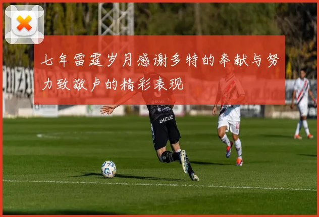 七年雷霆岁月感谢多特的奉献与努力致敬卢的精彩表现
